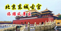 裸体美女爽到喷出白色液体网站中国北京-东城古宫旅游风景区